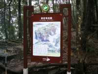 Tianmen Mountain in fog like dream