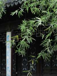 Whispers of the Past: Strolling Through Jichang Garden’s Timeless Beauty
