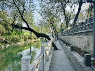 Yangzhou: My Serene Escape