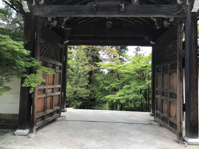 【嵯峨野で静寂にひたる旅。常寂光寺〜二尊院〜川沿いの風景まで】