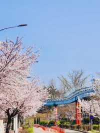 Wolmi Park Travel Review: Daytime Delights and Blooming Beauty 🏞️🌸🚶‍♀️