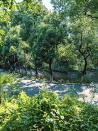 Wuhan's Hidden Gem for City Hikes | Serene Nature Meets History