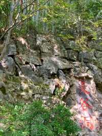 Linggu Cave: A Hidden Palace of Natural Wonders