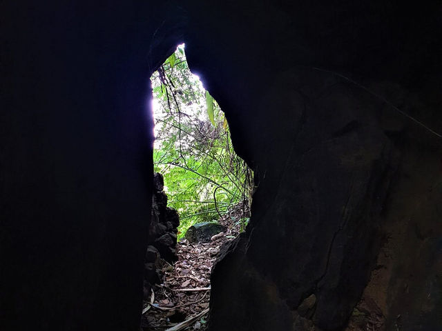 新店小獅頭山登高望遠去