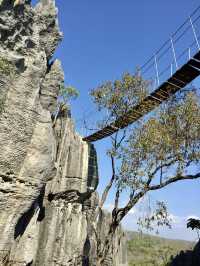 Suspension Bridge｜Tsingy 必體驗的高空挑戰