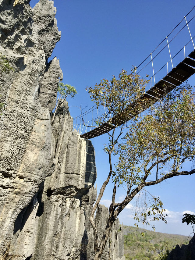Suspension Bridge｜Tsingy 必體驗的高空挑戰
