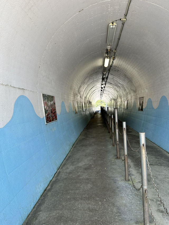 【千葉】展望塔までの道のり 開放感と海の絶景を楽しめます