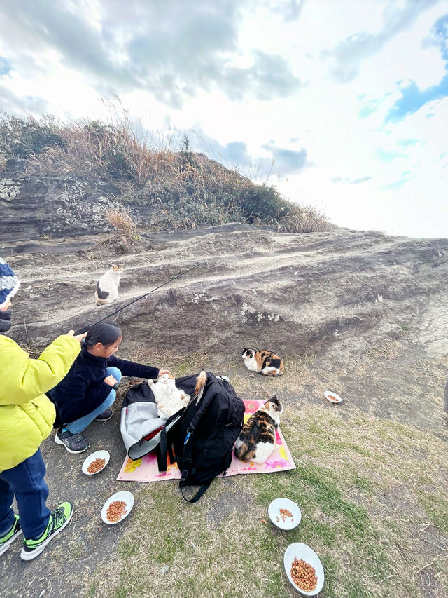 【三崎港】グルメに、お散歩に、三崎の街をたのしもう！
