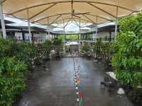 ที่นั่งชิลล์ฮีลใจ ย่านถนนประดิษฐ์มนูธรรม