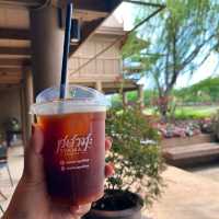 SYAMA AYUDHYA Cafe ศยามะ อยุธยา