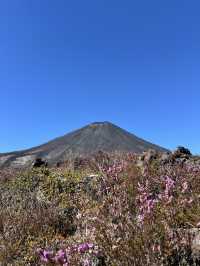 Hike Through Middle-earth: Conquer the Tongariro Crossing