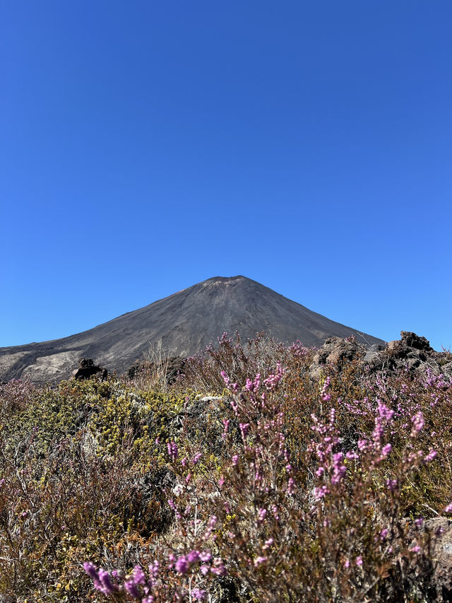 Hike Through Middle-earth: Conquer the Tongariro Crossing