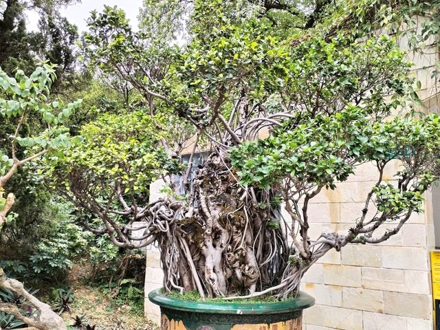 Yuntai Garden 