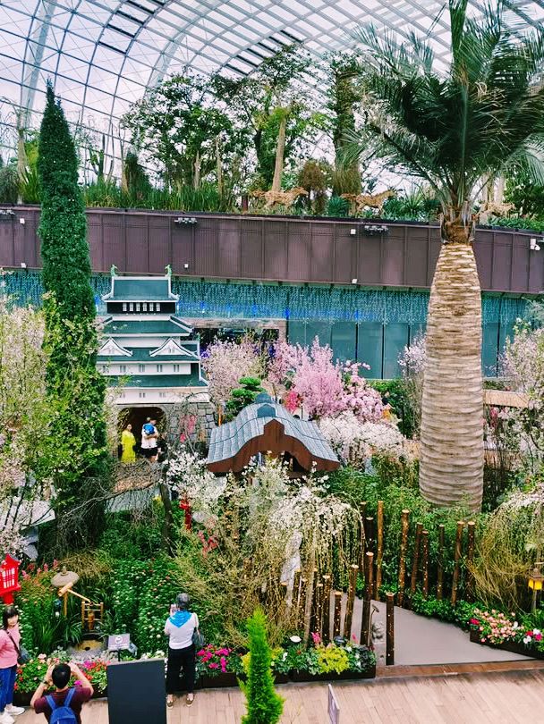 A Blossoming Experience at Gardens by the Bay