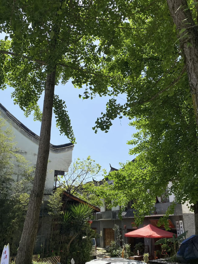 Time-Travelling Through Tea and Stone: Xin Chang Ancient Town, Chengdu