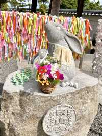 Springtime Charm at Kozan-ji Temple
