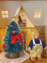 บ้านโพรงกระต่าย แสนอบอุ่น 🐰🏡