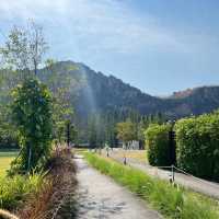 IKO Camp & Cafe