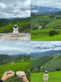 ที่พักบ้านป่าบงเปียง จ.เชียงใหม่ 🏡⛰️🌦️🌾