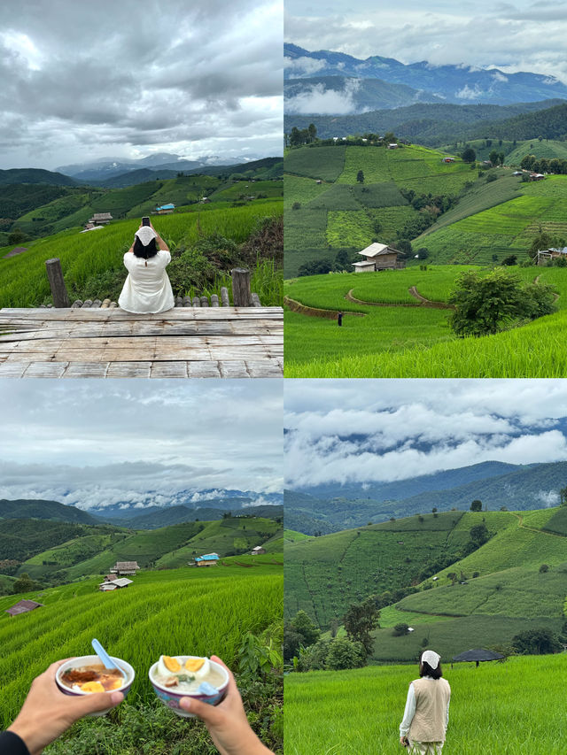ที่พักบ้านป่าบงเปียง จ.เชียงใหม่ 🏡⛰️🌦️🌾