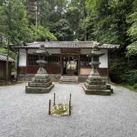 【大和三山と藤原京】⛰️ 世界遺産候補🌎