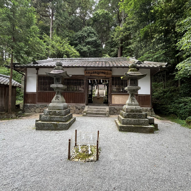 【大和三山と藤原京】⛰️ 世界遺産候補🌎