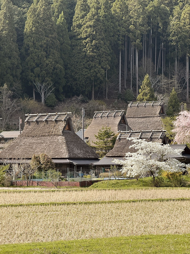 Hidden Gem of Kyoto ✨