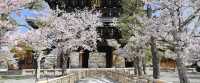 🌸 "Konkaikomyo-ji: Kyoto’s Hidden Temple with a Golden Surprise!" 🌸