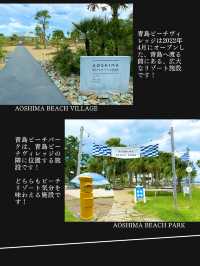 【神社ジャングル海まるごとパワースポットの島】青島
