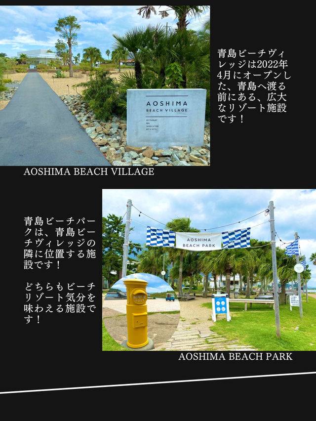 【神社ジャングル海まるごとパワースポットの島】青島