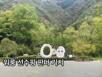 귀여운 판다들을 볼수 있는 곳!