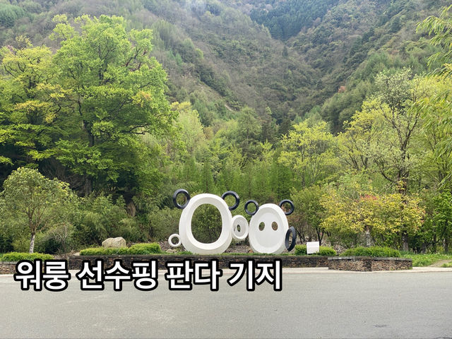 귀여운 판다들을 볼수 있는 곳!
