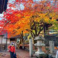 【静岡】伊豆の小京都と呼ばれる景色がみれる「修善寺」