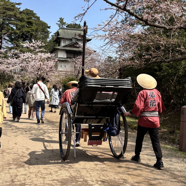 走吧！赴一場粉色之約🌸