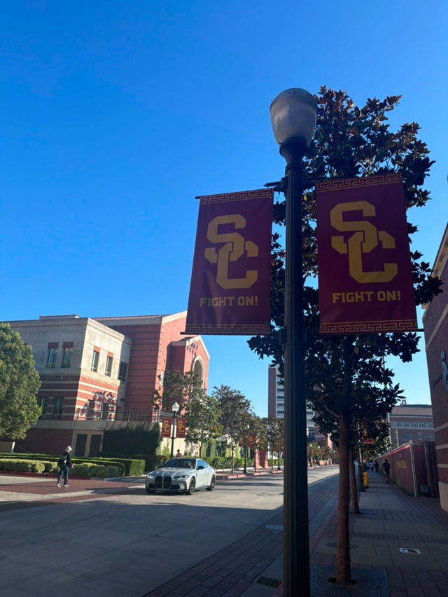 🏫 USC 캠퍼스, LA의 학문과 전통의 상징! 