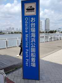 “Blossoms of Tomorrow: Springlight in Odaiba”