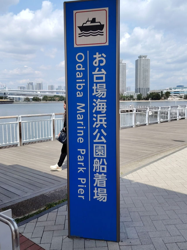 “Blossoms of Tomorrow: Springlight in Odaiba”