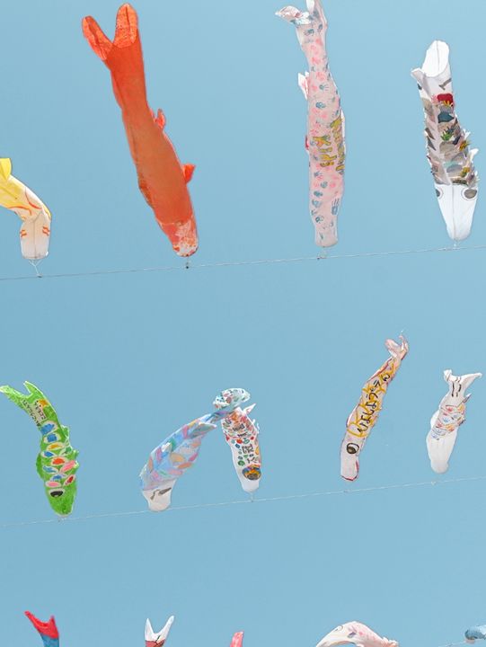大空を泳ぐ、1000匹の鯉のぼり🎏🫧🩵