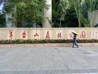 城市中的⛰️陽台山森林公園✨體驗自然風光行程推薦🏞️ 