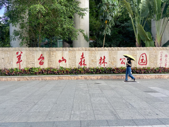 城市中的⛰️陽台山森林公園✨體驗自然風光行程推薦🏞️ 