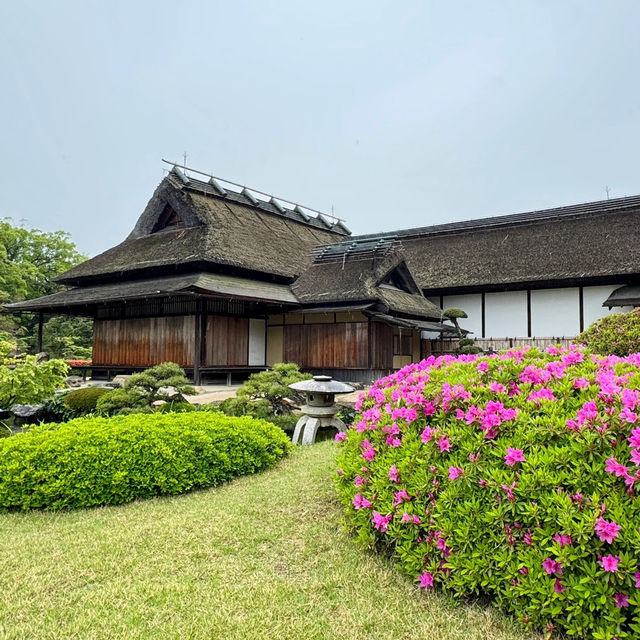 絲原家庭園～美麗的日本庭院