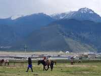 1 week in Yunnan ~ Kunming, Dali, Lijiang, Yulong, Shangri-la