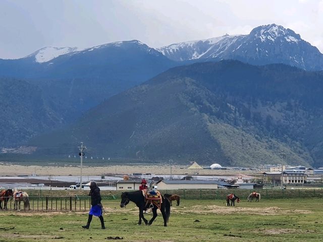 1 week in Yunnan ~ Kunming, Dali, Lijiang, Yulong, Shangri-la