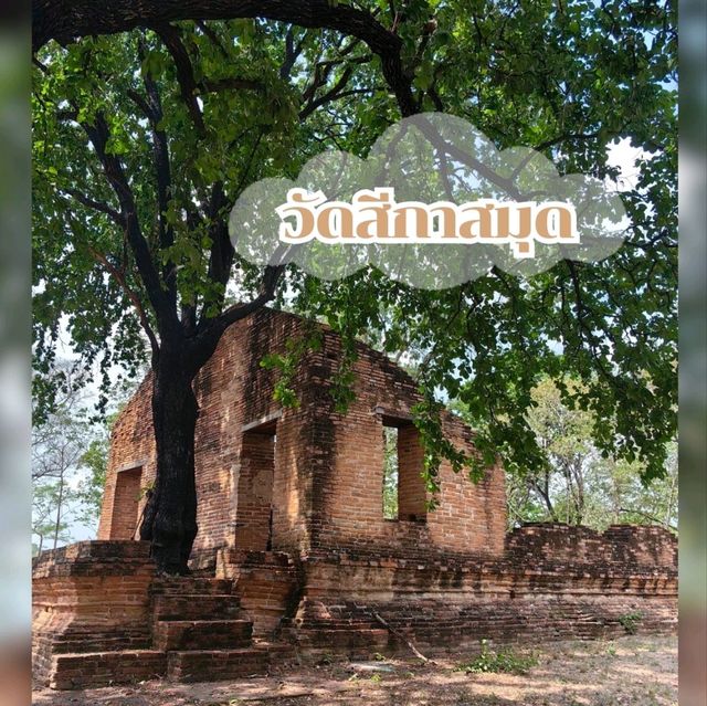 เที่ยววัดเก่า วัดสีกาสมุด วัดร้าง เมืองอยุธยา