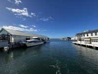 5 days Tasmania Itinerary with Arrival at Launceston and depart from Hobart