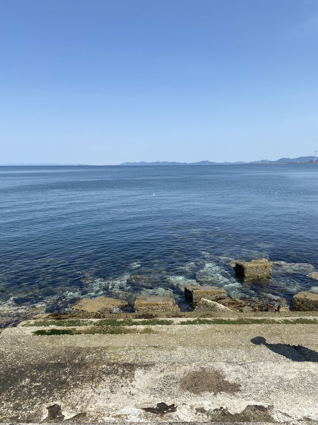 篠島で自然と海を満喫！