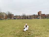 พักผ่อน ชมธรรมชาติ Boston common