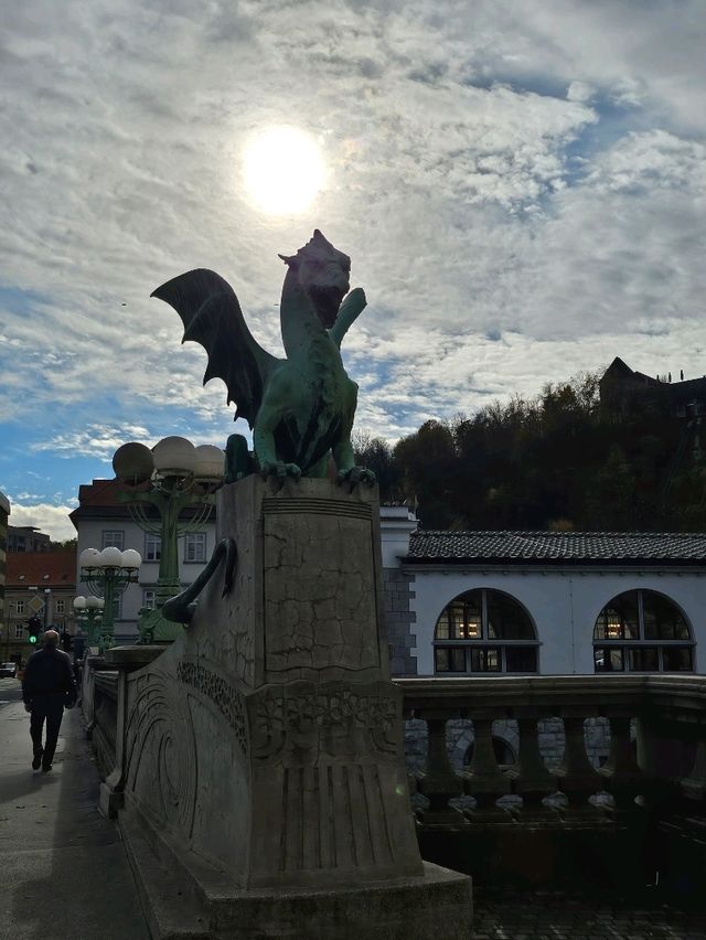 용의도시, 류블랴나!