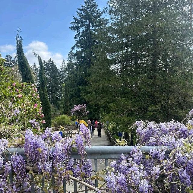 Portland International Rose Test Garden – Portland, OR