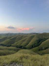 The Green Majesty of Wairinding Hill